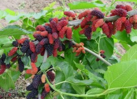 413004_1_19