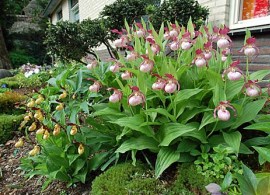 garten153