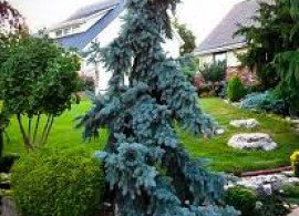 images13