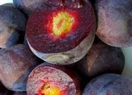 images5