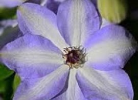 images97