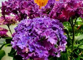 img_20220103_120848
