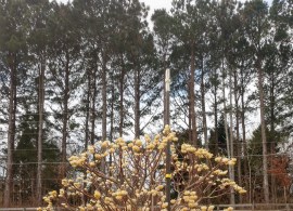 img_20220307_094450753_hdr(1)