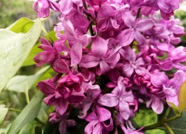 img_20230524_082826_075