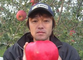 jablonja-sekai-shi3