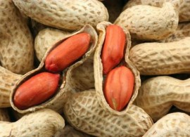 peanuts1
