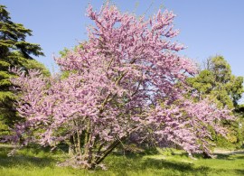 shutterstock_391158466